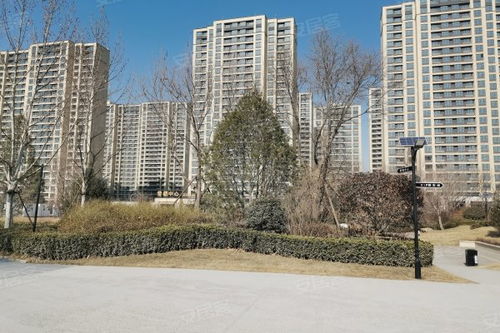 中新國際城綜合評測 優點、不足、周邊中介及物業管理分析